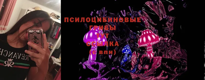 omg ссылка  Дубна  Псилоцибиновые грибы Magic Shrooms  где можно купить наркотик 